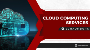 Cloud Computing Services in Schaumburg